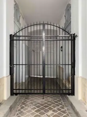 Grille sas 10 rue de Saintonge